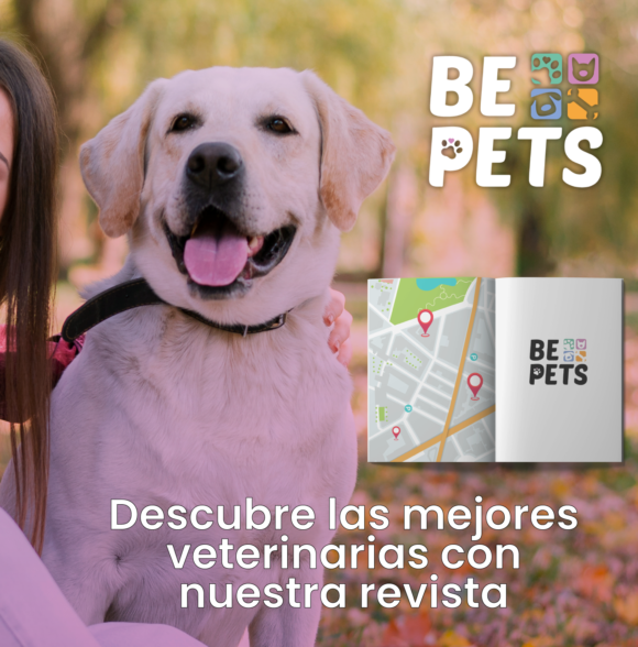 Bepets